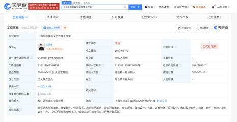 陳坤上海東申童畫工作室注銷，企業(yè)形象策劃的反思與啟示